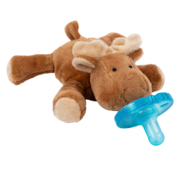 Baby Toys & Activity Equipment