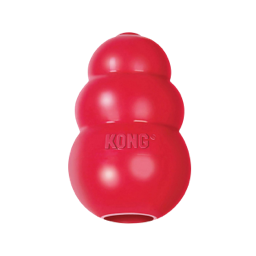 Pet Toys & Accessories